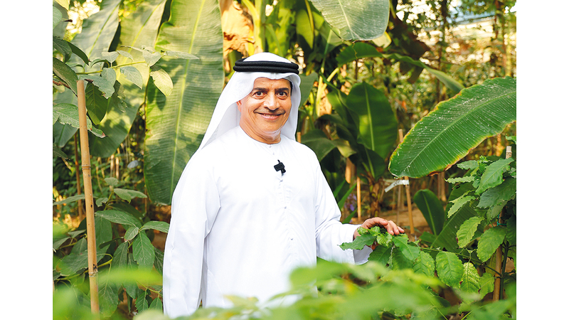 مُزارع إماراتي يتحدى شحّ المياه وحرارة الصيف بزراعة نباتات نادرة