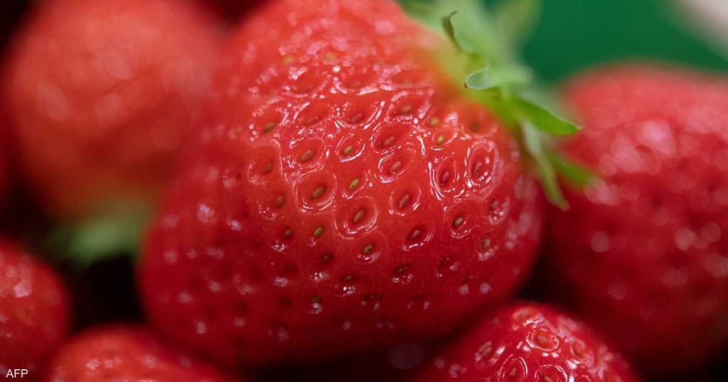 لتعزيز جهاز المناعة.. 7 فواكه غنية بفيتامين “سي”