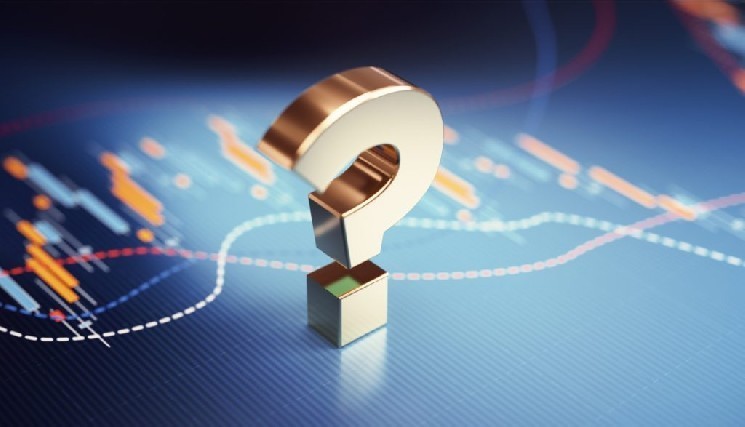 ما هي العملة المشفرة التي تحتوي على المحافظ الأكثر نشاطًا؟ لقد انتهت القائمة، والبيتكوين ليست رقم واحد