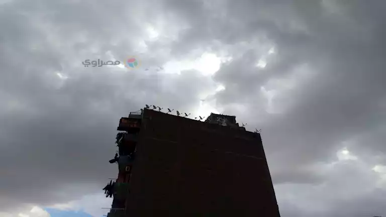 أمطار تمتد للقاهرة وشبورة مائية.. الأرصاد تعلن طقس الساعات المقبلة