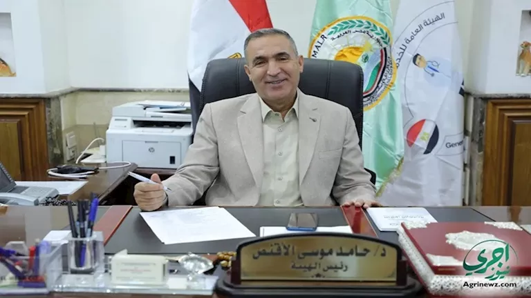 “الخدمات البيطرية” تكشف حقيقة نفوق 500 رأس ماشية بالمنوفية