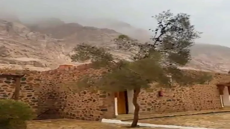 طقس الساعات المقبلة.. استقرار الأحوال الجوية والقاهرة تسجل 21 درجة