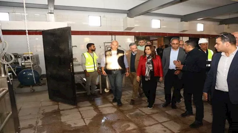 التنمية المحلية: تطوير مجزر الصالحية بتكلفة 29 مليون جنيه