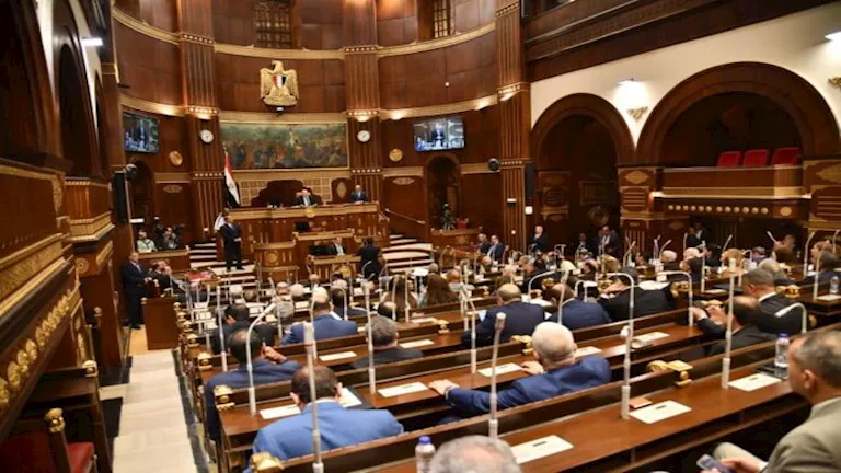 نائب بالشيوخ يتهم الحكومة باحتكار المياه والكهرباء ويرفض تعديل قانون ا