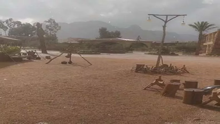 الأرصاد تحذر: استمرار سقوط الأمطار على هذه المناطق