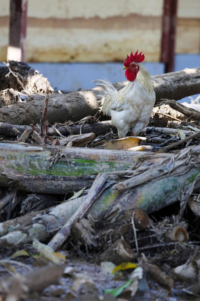 بعد الفيضانات القاتلة التي ضربت سومطرة، في باتانج تورو (إندونيسيا)، 6 ديسمبر 2025. 