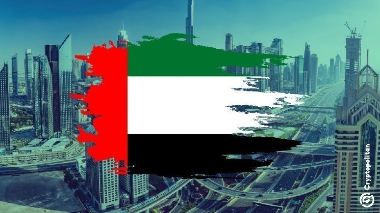 يتدفق عمالقة العملات المشفرة إلى أبو ظبي بحثًا عن استثمارات كبيرة