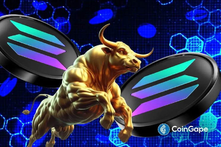 هل يستعد سعر سولانا لارتفاع صعودي بنسبة +50%؟ إليك ما يمكن توقعه