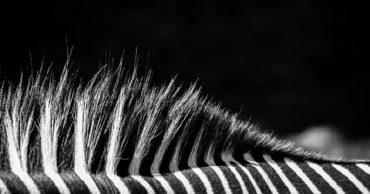 مالك يوفنتوس يرفض عرض الاستحواذ من شركة Tether