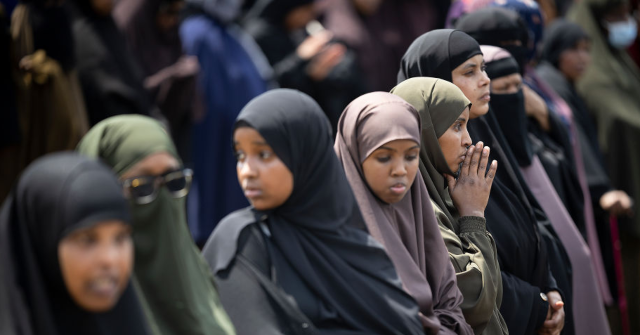 احتيال واسع النطاق على الرعاية الاجتماعية من قبل المهاجرين الصوماليين في ولاية أوهايو