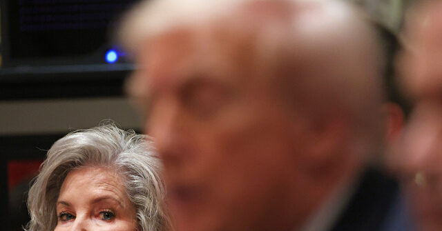 ترامب سيحمل حملته للانتخابات النصفية لعام 2026 “كما لو كان عام 2024 مرة أخرى”