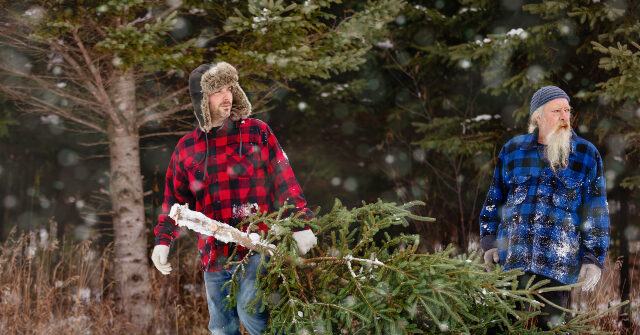 إدارة ترامب تطلق مبادرة “دولار واحد، شجرة واحدة” للعطلات