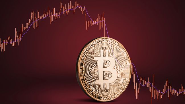 تستقر عملة البيتكوين في منطقة التوطيد – مستويات يجب مراقبتها