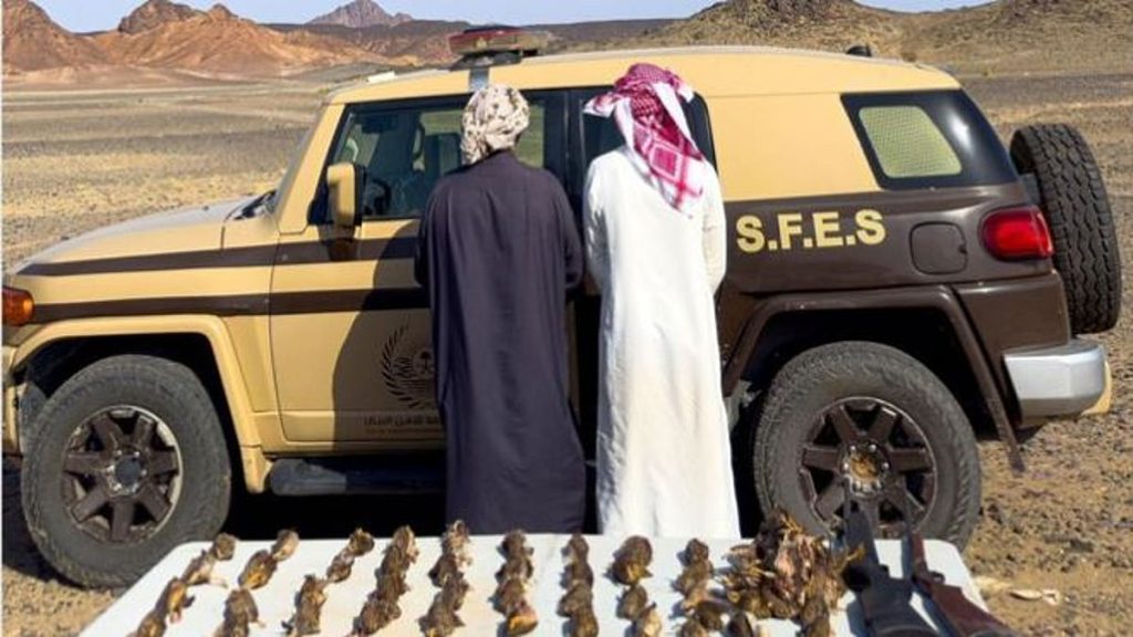 بحوزتهم بنادق وكائنات فطرية.. القبض على مواطنين لارتكابهما الصيد دون ترخيص في المدينة