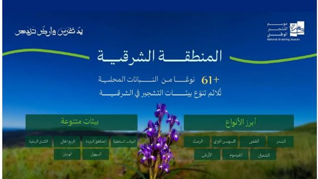 تحقق مستهدفات السعودية الخضراء.. أكثر من 61 نوعًا من النباتات المحلية ملائمة للتشجير في الشرقية