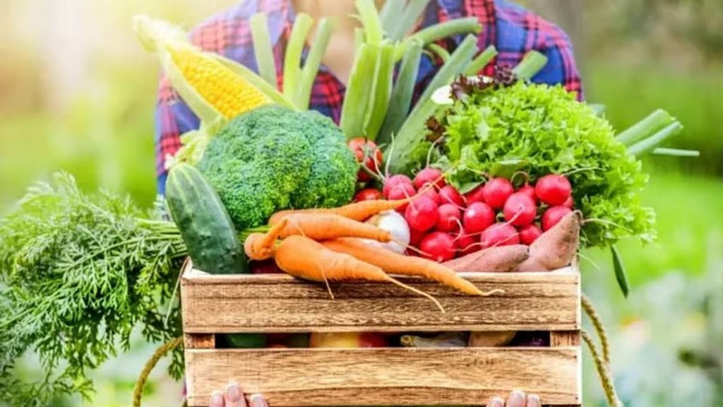 دراسة: 6 فوائد مشروطة للأنظمة الغذائية النباتية للأطفال