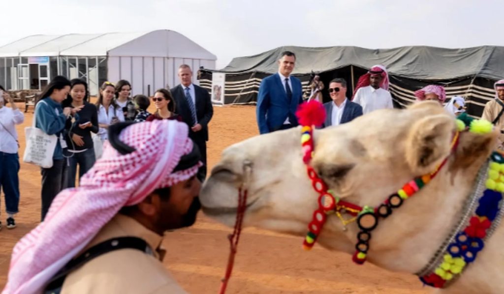 أكثر من 100 سائح يوثقون الحضور الدولي لمنافسات مهرجان الملك عبدالعزيز للإبل