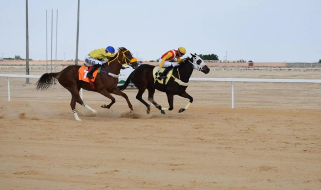 ميدان الفروسية بالأحساء يعلن نتائج سباقه السابع
