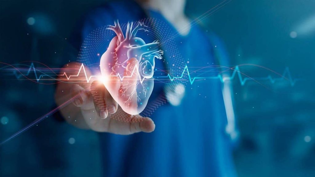 استشاري: 5 عوامل تُسرّع شيخوخة القلب أبرزها الالتهاب والسمنة