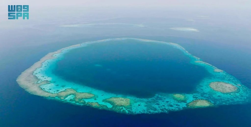 «الحياة الفطرية» يطوّر منظومة التشغيل والحوكمة في محميتي الثقوب الزرقاء ورأس حاطبة