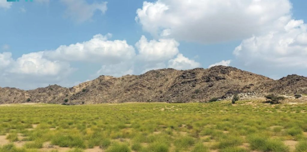 سهول تهامة عسير الخضراء.. مقوّمات طبيعية تدعم السياحة البيئية