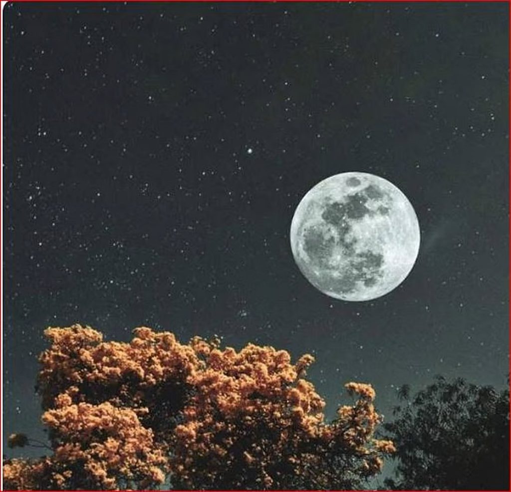 فلكية جدة: سماء 2026 تزخر بالظواهر الفلكية