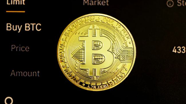 اعتماد البيتكوين قد بدأ للتو – يقول توم لي إن النمو ممكن بمقدار 200 مرة