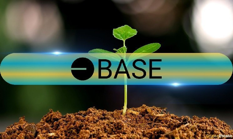 تطلق Base “تطبيق كل شيء” مميزًا للتواصل الاجتماعي والتداول والمدفوعات