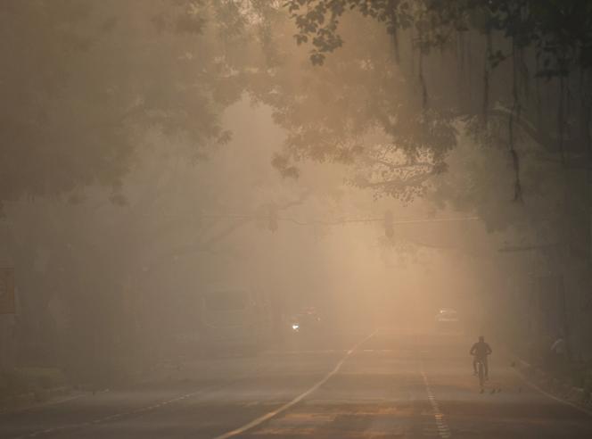 في نيودلهي، الهند، 25 نوفمبر 2025.