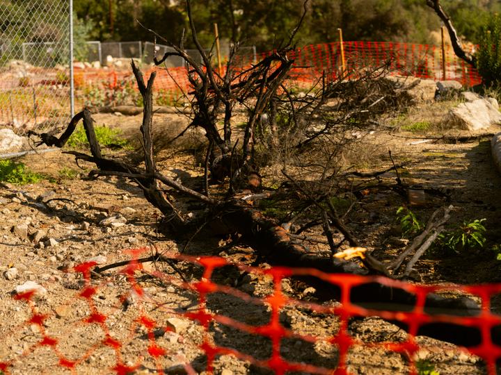 في ألتادينا (كاليفورنيا)، 3 ديسمبر 2025. 