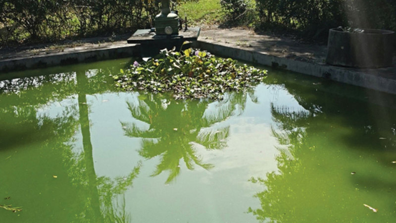 تطوير نظام ذكاء اصطناعي لمراقبة جودة المياه والتغير المناخي