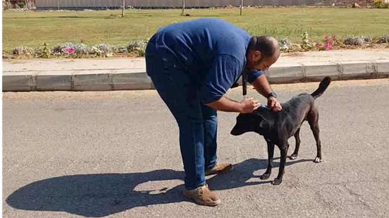 مسؤول بالخدمات البيطرية: عين شمس أول منطقة شعبية خالية من السعار قريبً