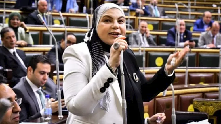 بعد تعيينها بـ”النواب”.. تعرف على السيرة الذاتية لشيرين طايل
