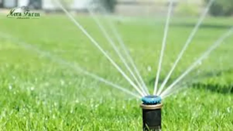 استصلاح أكثر من 818 ألف فدان.. “الري” تكشف إنجازات 2025