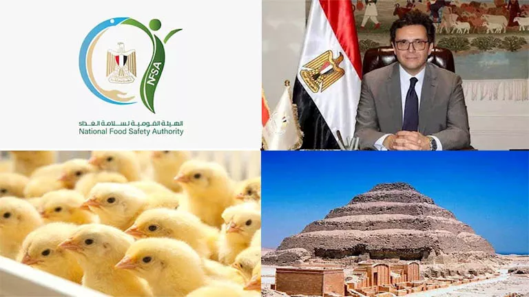 حدث ليلًا| توضيح من الزراعة بشأن ارتفاع أسعار الكتاكيت ووفاة المفكر مر