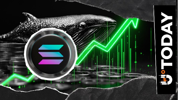 تم نقل 80,000 سول بعد عام واحد