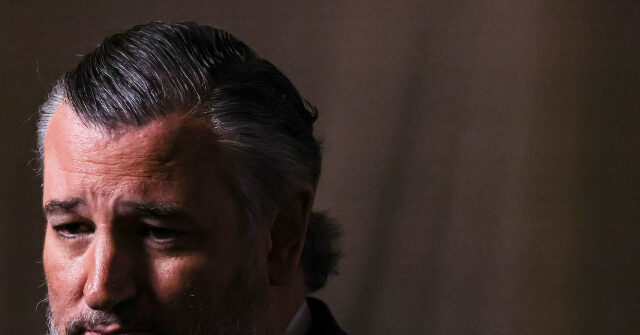 طارد تيد كروز بشدة نيكي ميناج لالتقاط صورة لها في حدث حسابات ترامب