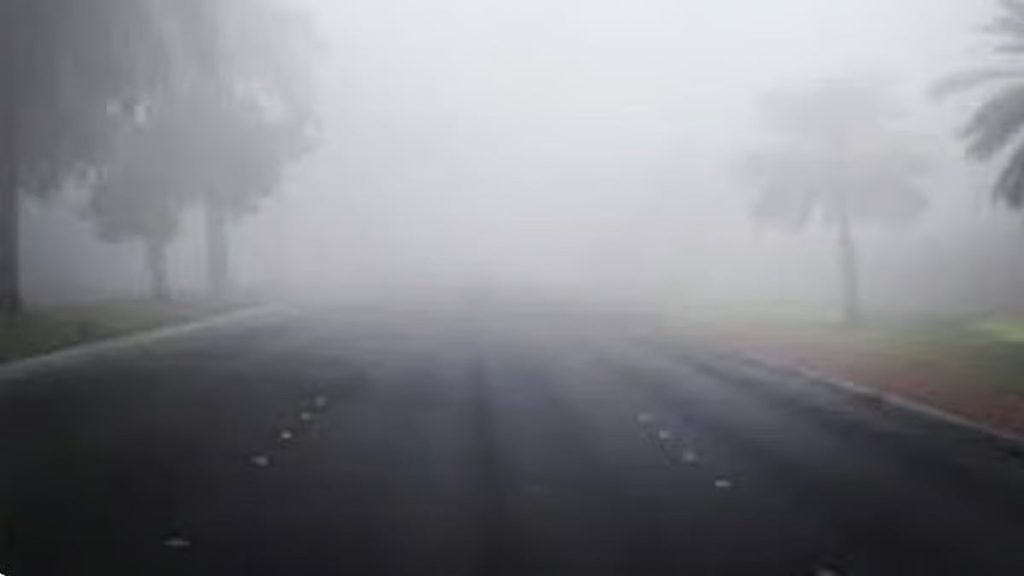 الأرصاد: ضباب بـ 3 مناطق حتى صباح الخميس