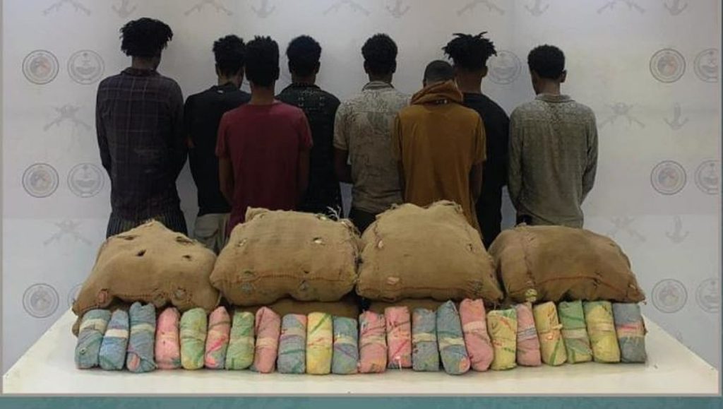 القبض على 8 مخالفين من الجنسية الإثيوبية لتهريبهم 144 كيلوجرامًا من القات بعسير