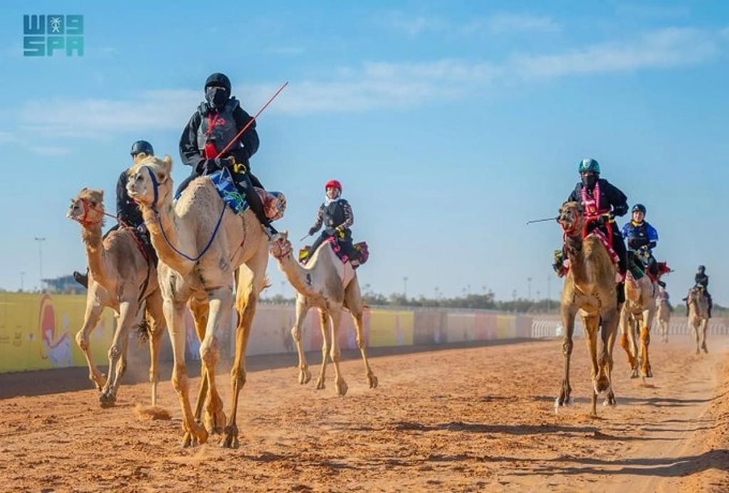 غدًا.. انطلاق منافسات الهجانات ضمن مهرجان خادم الحرمين الشريفين للهجن 2026