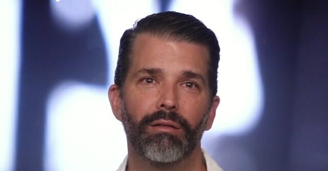 “الانقلاب غير المرئي” الذي قام به شفايتزر يكشف “التسلل الأجنبي” وراء “تمرد” مينيابوليس