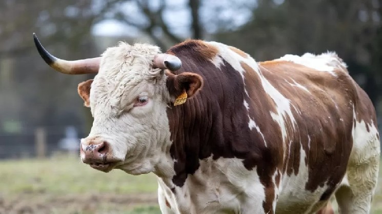 “قد يكون هناك حقنة ثورية بقيمة 8 تريليون دولار من البيتكوين”