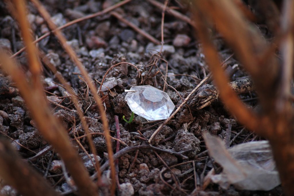 السوق مسعر بالإفلاس. في الأصول المسعرة – بابكوك وويلكوكس وBRC