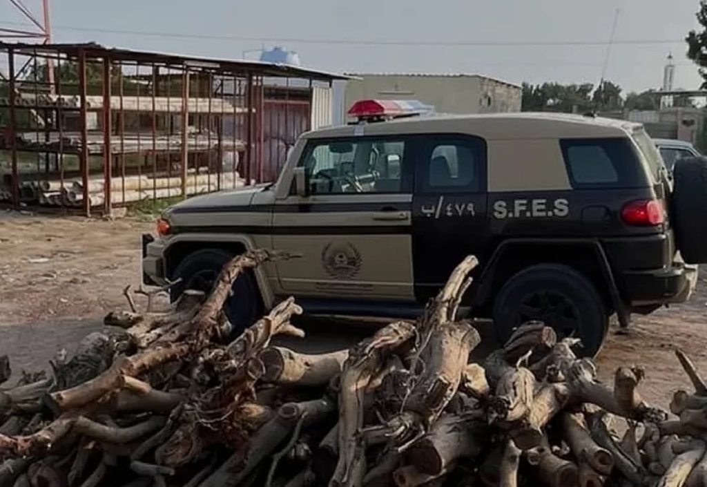 “الأمن البيئي” يضبط مخالفًا لنظام البيئة لاستغلاله الرواسب في منطقة المدينة المنورة